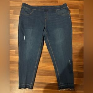 Terra & Sky Women's Dark Blue Jeans